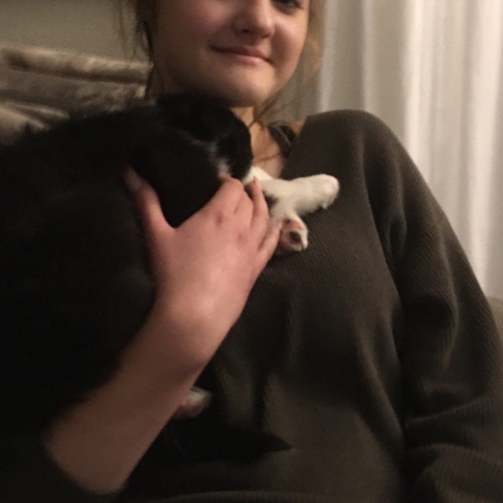 Meet your Posher, Savannah